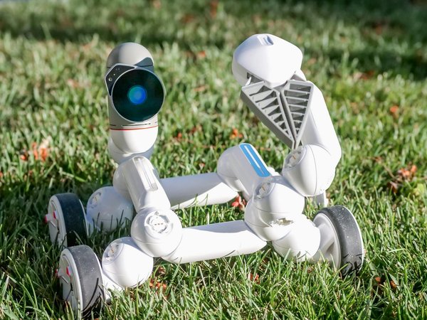 Transformez votre smartphone en un dispositif incassable : astuces et conseils innovants