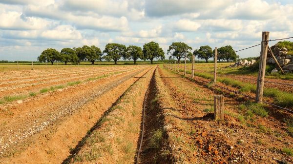 Top conseils pour le tranchée et le passage de câble dans le Calvados